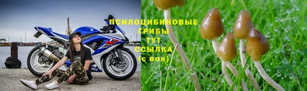 а пвп мука Баксан