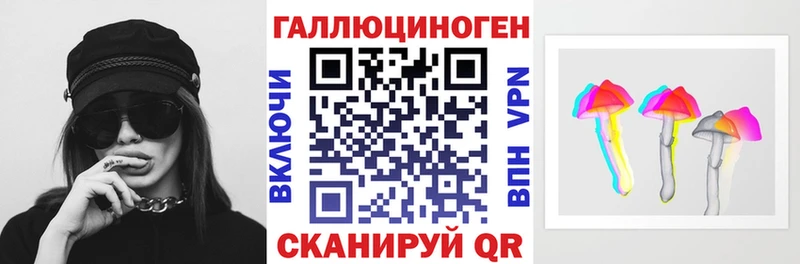 маркетплейс формула  Вичуга  Галлюциногенные грибы Psilocybine cubensis 